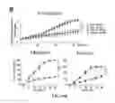 Fig. 23 - SINGLE-CELL ANALYSIS AS A SENSITIVE AND SPECIFIC METHOD FOR EARLY CANCER DETECTION