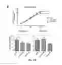 Fig. 25 - SINGLE-CELL ANALYSIS AS A SENSITIVE AND SPECIFIC METHOD FOR EARLY CANCER DETECTION