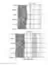 Fig. 40 - SINGLE-CELL ANALYSIS AS A SENSITIVE AND SPECIFIC METHOD FOR EARLY CANCER DETECTION