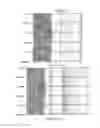 Fig. 41 - SINGLE-CELL ANALYSIS AS A SENSITIVE AND SPECIFIC METHOD FOR EARLY CANCER DETECTION