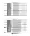Fig. 47 - SINGLE-CELL ANALYSIS AS A SENSITIVE AND SPECIFIC METHOD FOR EARLY CANCER DETECTION