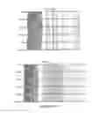 Fig. 49 - SINGLE-CELL ANALYSIS AS A SENSITIVE AND SPECIFIC METHOD FOR EARLY CANCER DETECTION