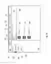 Fig. 10 - System and method for secure analysis of datasets