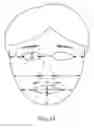 Fig. 14 - WEARABLE CAMERA SYSTEM AND METHOD OF NOTIFYING PERSON