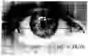 Fig. 01 - Image analysis for determining characteristics of pairs of individuals