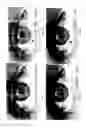 Fig. 02 - Image analysis for determining characteristics of pairs of individuals