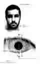 Fig. 05 - Image analysis for determining characteristics of pairs of individuals