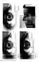 Fig. 07 - Image analysis for determining characteristics of pairs of individuals