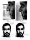 Fig. 08 - Image analysis for determining characteristics of pairs of individuals