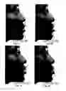 Fig. 10 - Image analysis for determining characteristics of pairs of individuals