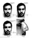 Fig. 17 - Image analysis for determining characteristics of pairs of individuals