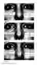 Fig. 21 - Image analysis for determining characteristics of pairs of individuals