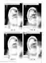 Fig. 26 - Image analysis for determining characteristics of pairs of individuals