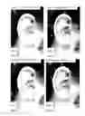Fig. 28 - Image analysis for determining characteristics of pairs of individuals