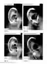 Fig. 29 - Image analysis for determining characteristics of pairs of individuals