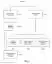 Fig. 06 - Method And Apparatus For The Detection Of Digital Watermarks For Instant Credential Authentication