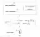 Fig. 07 - Natural language question expansion and extraction