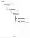 Fig. 06 - Just in time compilation (JIT) for business process execution