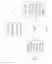 Fig. 04 - Simplified orders using words or phrases