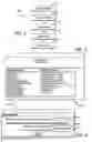 Fig. 03 - Single Order Method For Independent Sales Representative As Used In The Party Plan Direct Marketing Method Of Selling Products