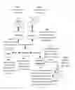 Fig. 01 - System And Method For Performing Due Diligence And Providing A Report For A Potential Real Estate Transaction