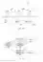 Fig. 02 - INFORMATION PROCESSING APPARATUS