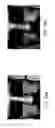 Fig. 20 - Method of analyzing facial images for detecting a flush effect
