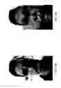 Fig. 29 - Method of analyzing facial images for detecting a flush effect