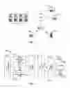 Fig. 02 - Avatar eye control in a multi-user animation environment