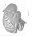 Fig. 02 - System and method for projected tool trajectories for surgical navigation systems