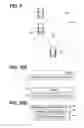 Fig. 09 - Vehicle recognition notification apparatus and vehicle recognition notification system