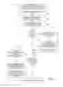 Fig. 04 - Ambient light context-aware display