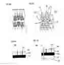 Fig. 22 - ENHANCEMENT FOR USE OF A DISPLAY IN A SOFTWARE CONFIGURABLE LIGHTING DEVICE