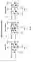 Fig. 06 - Charge storage ferroelectric memory hybrid and erase scheme