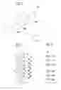 Fig. 03 - Two part programming and erase methods for non-volatile charge trap memory devices