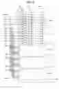 Fig. 04 - Semiconductor pillars charged in read operation