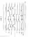 Fig. 07 - Semiconductor pillars charged in read operation