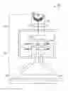Fig. 01 - Pendulum-type electromagnetic actuator