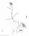 Fig. 67 - Flat capacitor for an implantable medical device