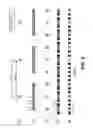 Fig. 04 - Ebeam three beam aperture array