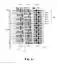 Fig. 27 - Ebeam staggered beam aperture array