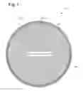 Fig. 02 - Method of fabricating III-nitride semiconductor dies