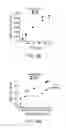 Fig. 17 - Mask shrink layer for high aspect ratio dielectric etch
