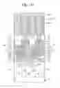 Fig. 09 - Semiconductor devices having an air gap