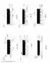 Fig. 04 - Semiconductor packages and methods of packaging semiconductor devices