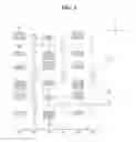 Fig. 04 - Subpixel arrangement structure for display device