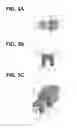 Fig. 04 - Semiconductor memory device and method of manufacturing the same
