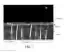 Fig. 06 - Hybrid vapor phase-solution phase growth techniques for improved CZT(S,Se) photovoltaic device performance