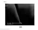 Fig. 21 - METHOD FOR FABRICATING LARGE METAL NANOFIBER ELECTRODE ARRAY USING ALIGNED METAL NANOFIBER