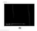 Fig. 23 - METHOD FOR FABRICATING LARGE METAL NANOFIBER ELECTRODE ARRAY USING ALIGNED METAL NANOFIBER
